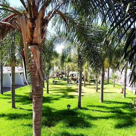Assam Hotel Kenitra Kültér fotó